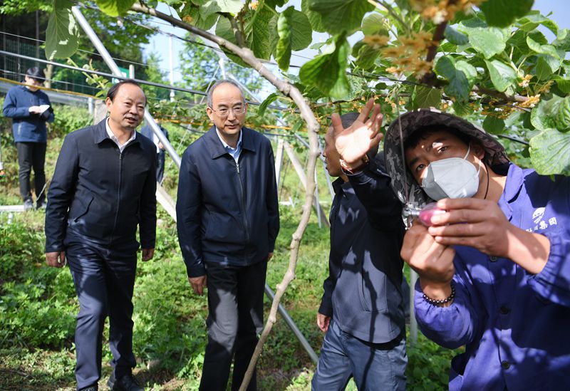 黄强在乐山调研时强调
牢记嘱托凝心聚力苦干实干
全力推动小凉山彝区经济社会高质量发展「相关图片」